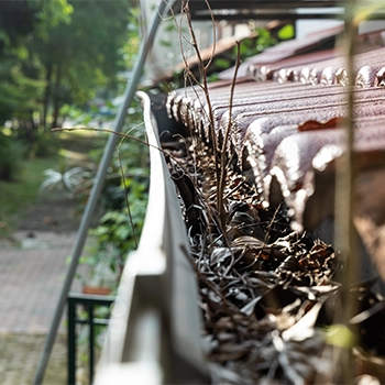 Gutter Cleaning