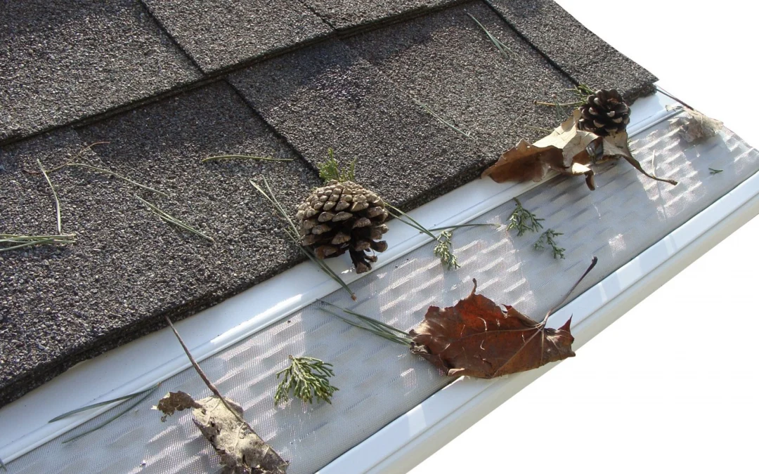 The Environmental Benefits of Gutter Cleaning