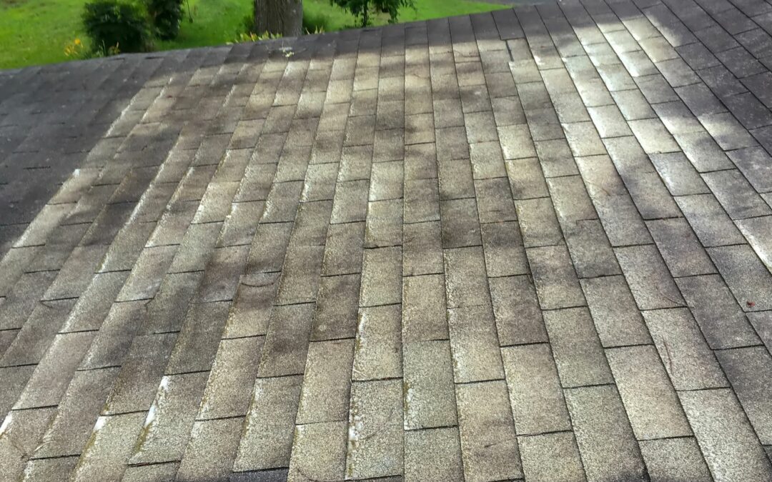 Don’t Wait for Fall: Why Roof Cleaning in August Prevents Big Problems