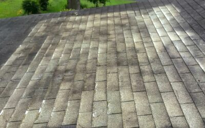 Blog 9 Don’t Wait for Fall: Why Roof Cleaning in August Prevents Big Problems
