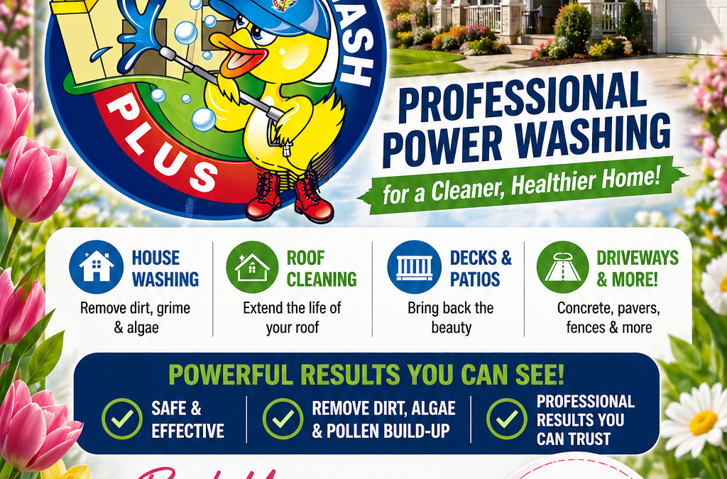 How Soft Washing Lifted Oil Stains And Revived A Middletown NJ Driveway