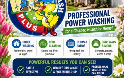 Blog 2 How Soft Washing Lifted Oil Stains And Revived A Middletown NJ Driveway